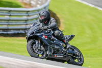 PJ-Motorsport-2019;anglesey;brands-hatch;cadwell-park;croft;donington-park;enduro-digital-images;event-digital-images;eventdigitalimages;mallory;no-limits;oulton-park;peter-wileman-photography;racing-digital-images;silverstone;snetterton;trackday-digital-images;trackday-photos;vmcc-banbury-run;welsh-2-day-enduro